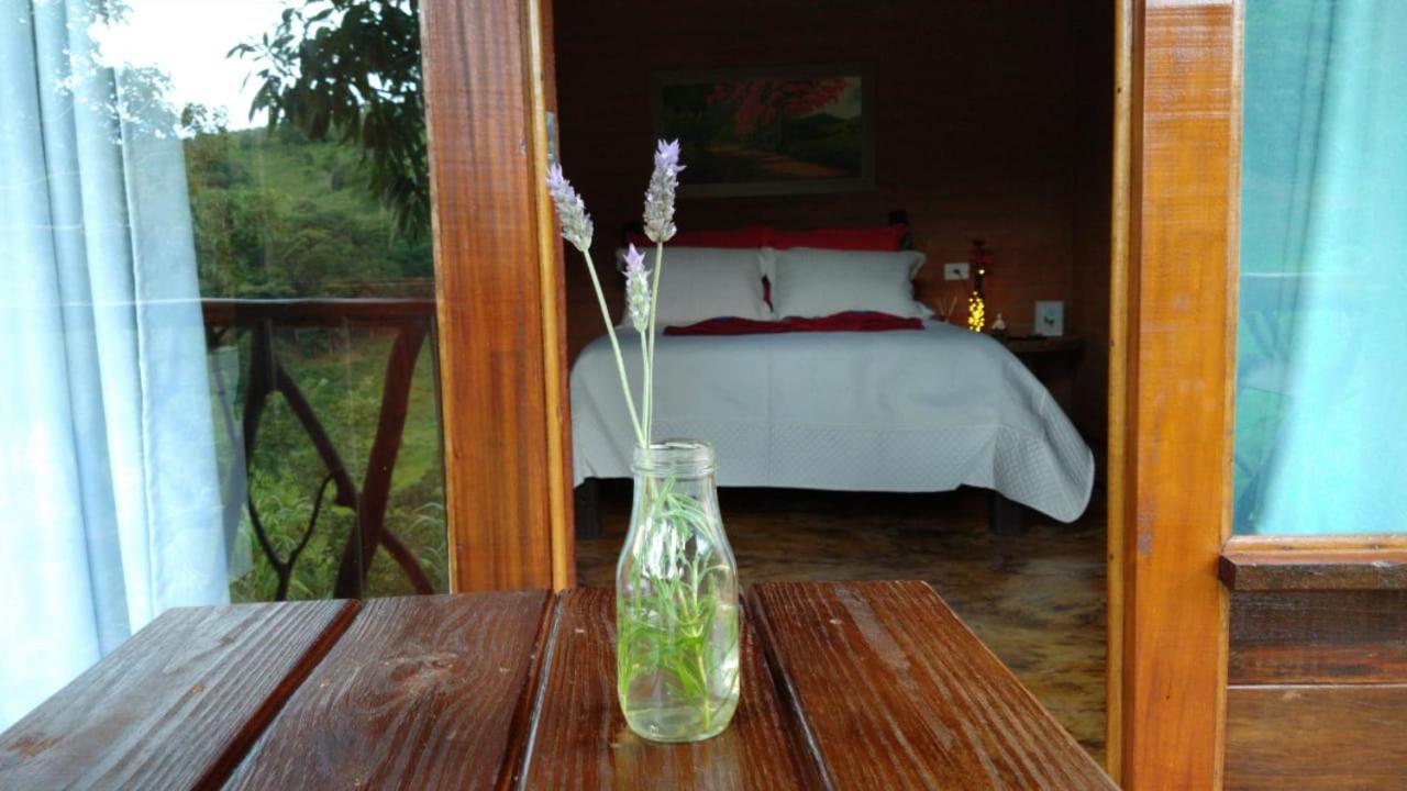 Chalet Fenix Santo Antônio do Pinhal